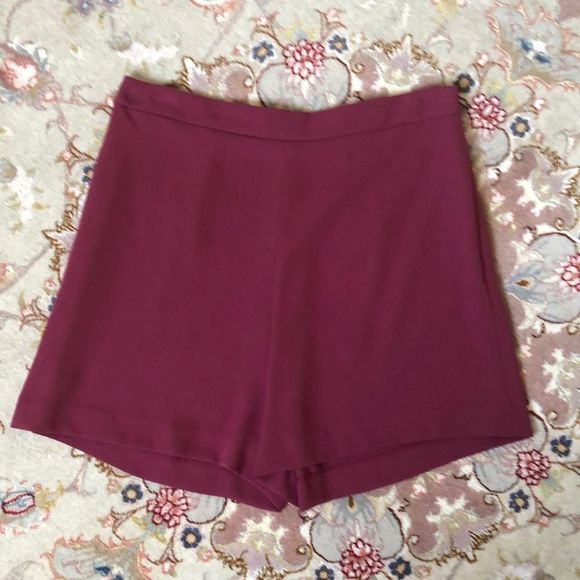 Theory Pants - Theory Tarrytown Short NWT